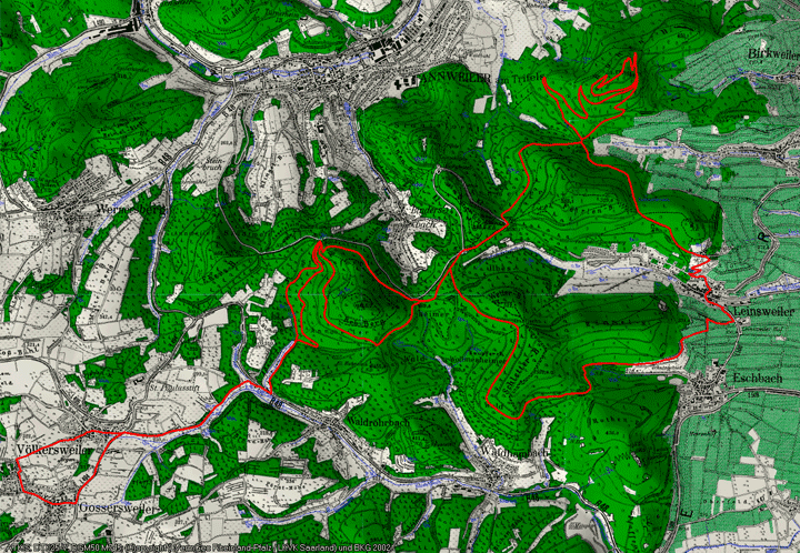Mtb singletrail pfalz