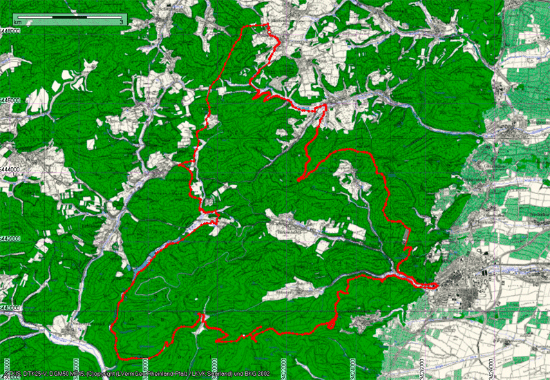 Mtb singletrail pfalz